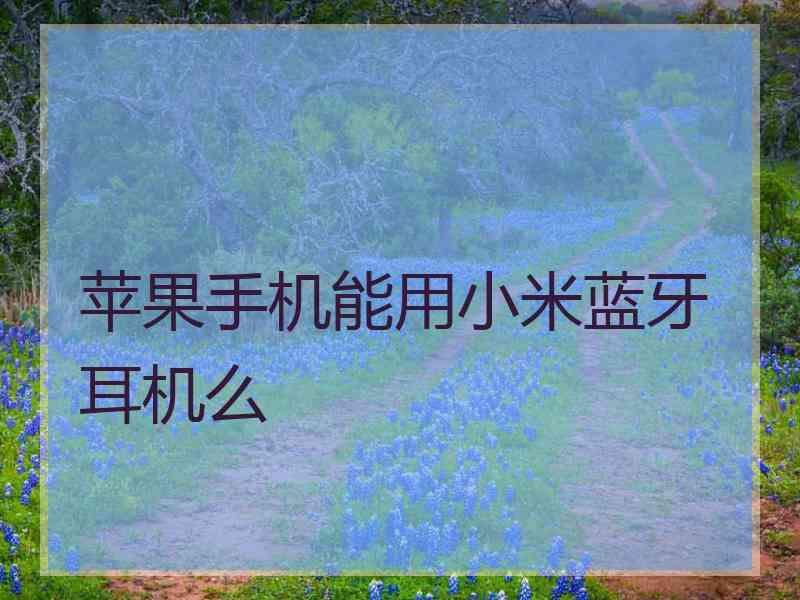 苹果手机能用小米蓝牙耳机么