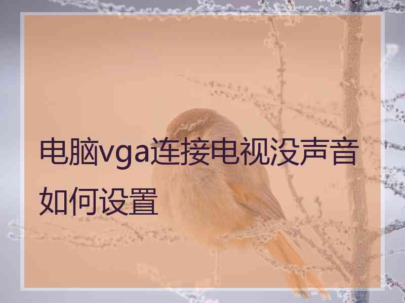 电脑vga连接电视没声音如何设置