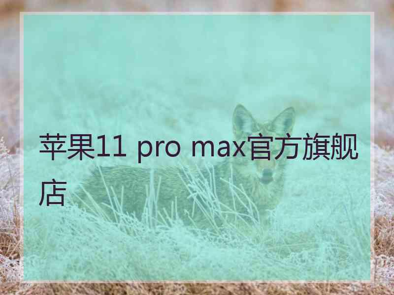 苹果11 pro max官方旗舰店