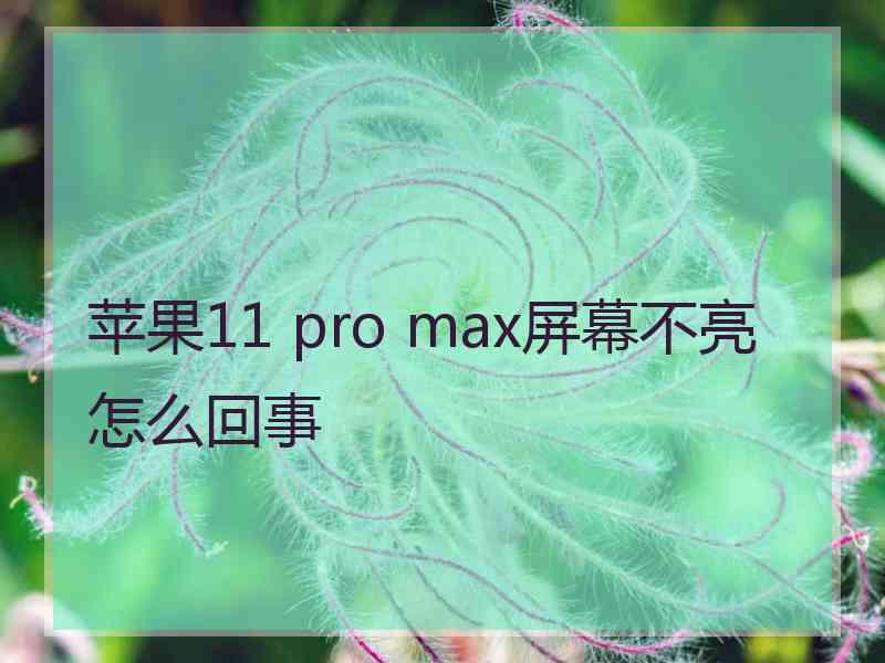 苹果11 pro max屏幕不亮怎么回事