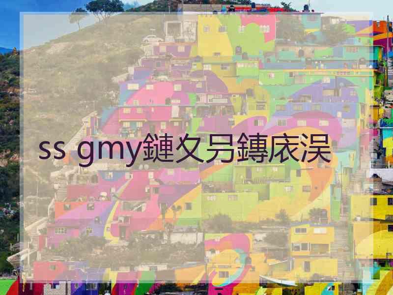 ss gmy鏈夊叧鏄庡洖