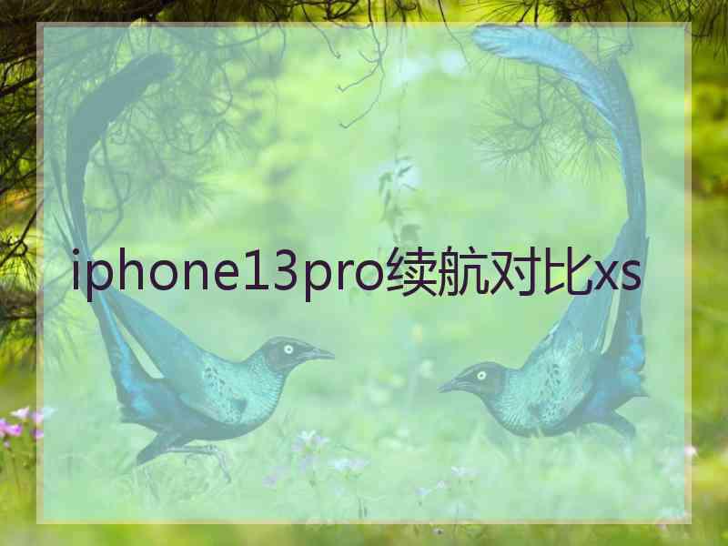 iphone13pro续航对比xs