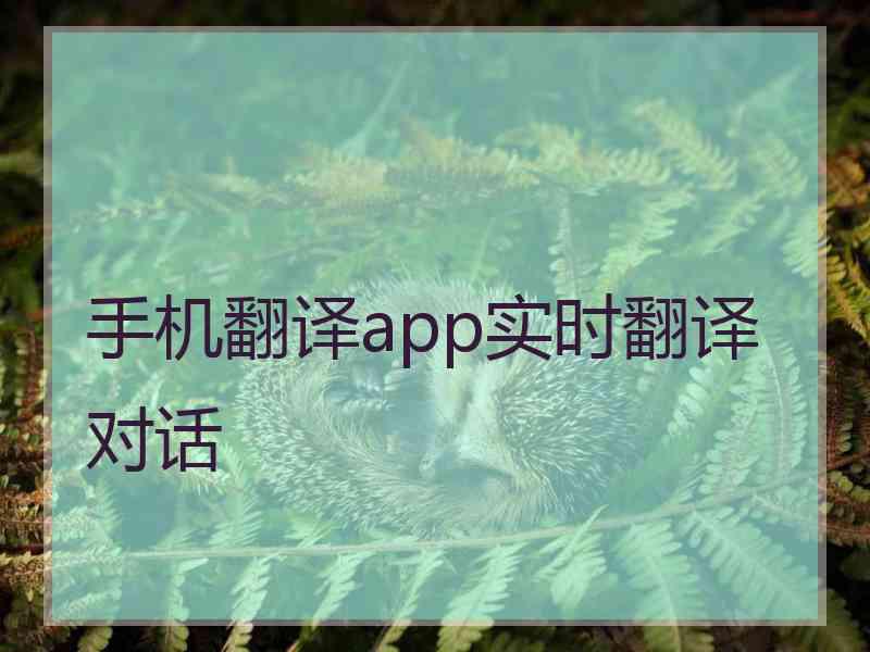 手机翻译app实时翻译对话