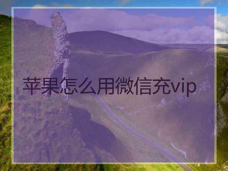 苹果怎么用微信充vip