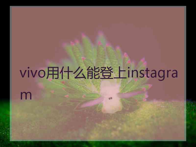 vivo用什么能登上instagram