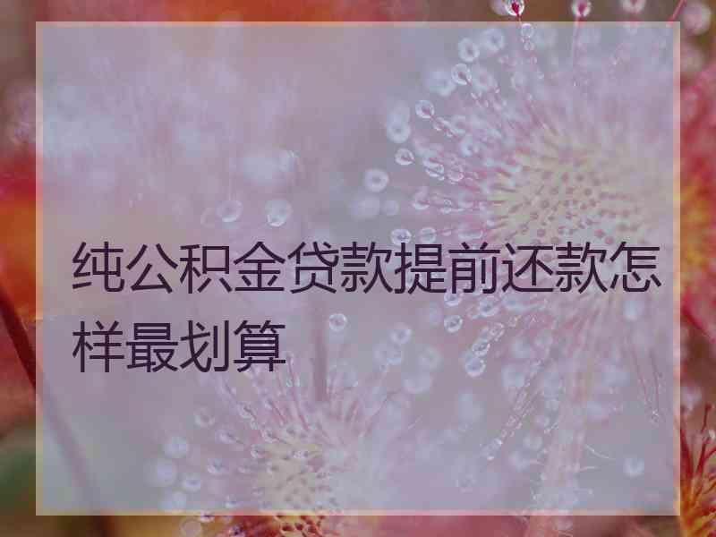 纯公积金贷款提前还款怎样最划算