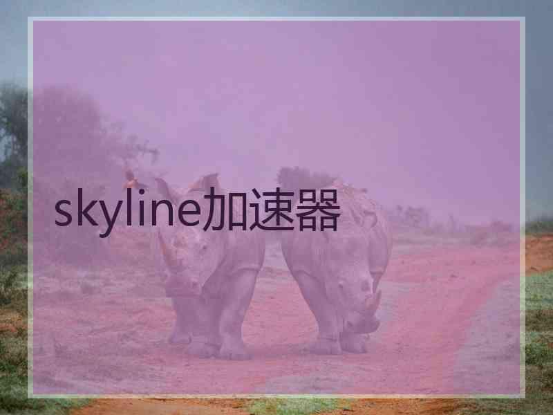 skyline加速器