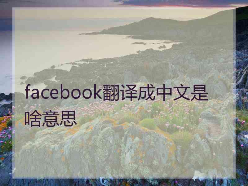 facebook翻译成中文是啥意思