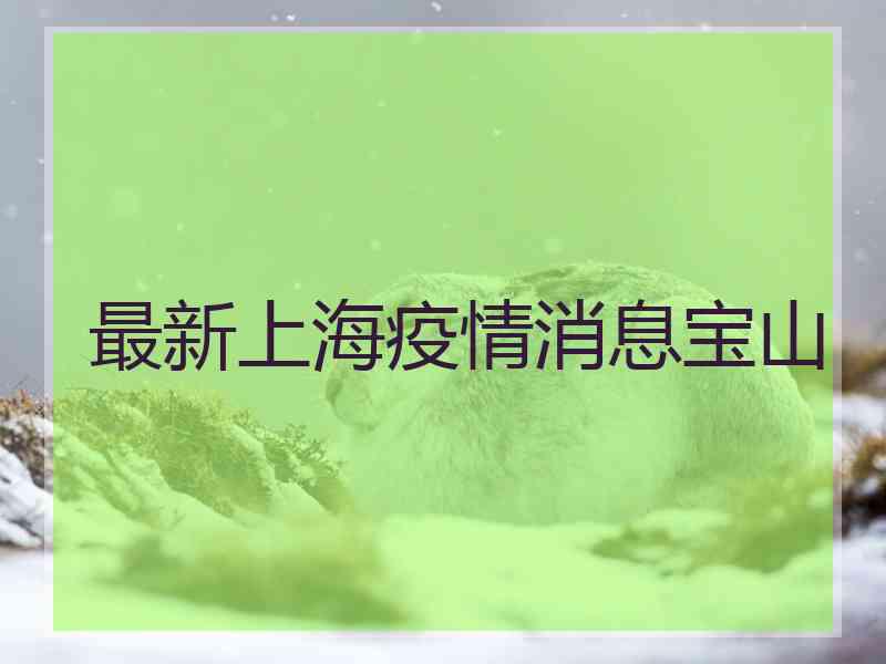 最新上海疫情消息宝山