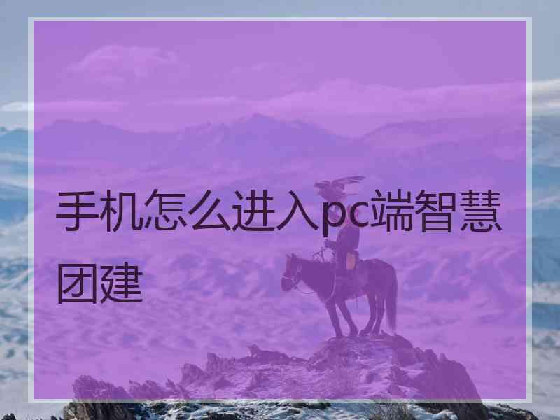 手机怎么进入pc端智慧团建