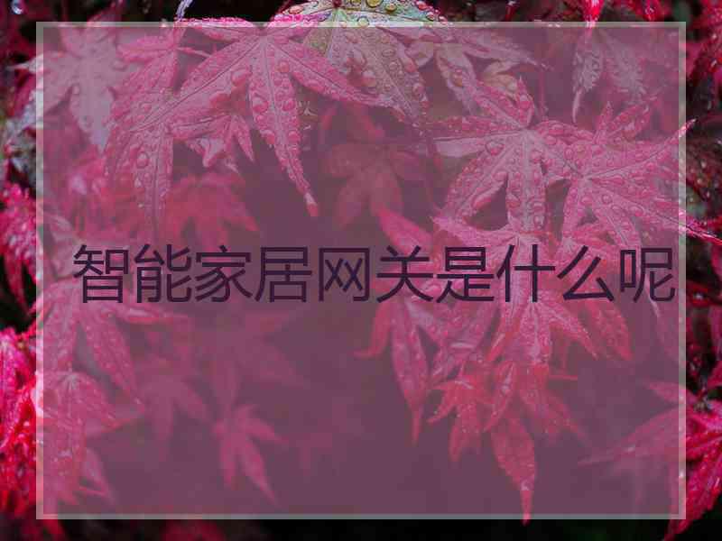 智能家居网关是什么呢