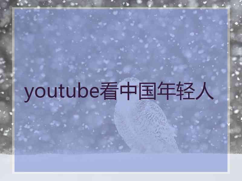 youtube看中国年轻人