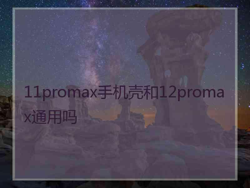 11promax手机壳和12promax通用吗