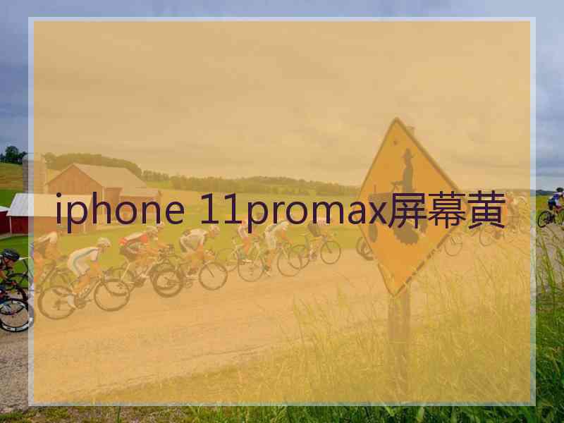 iphone 11promax屏幕黄