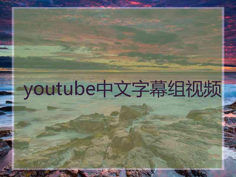 youtube中文字幕组视频