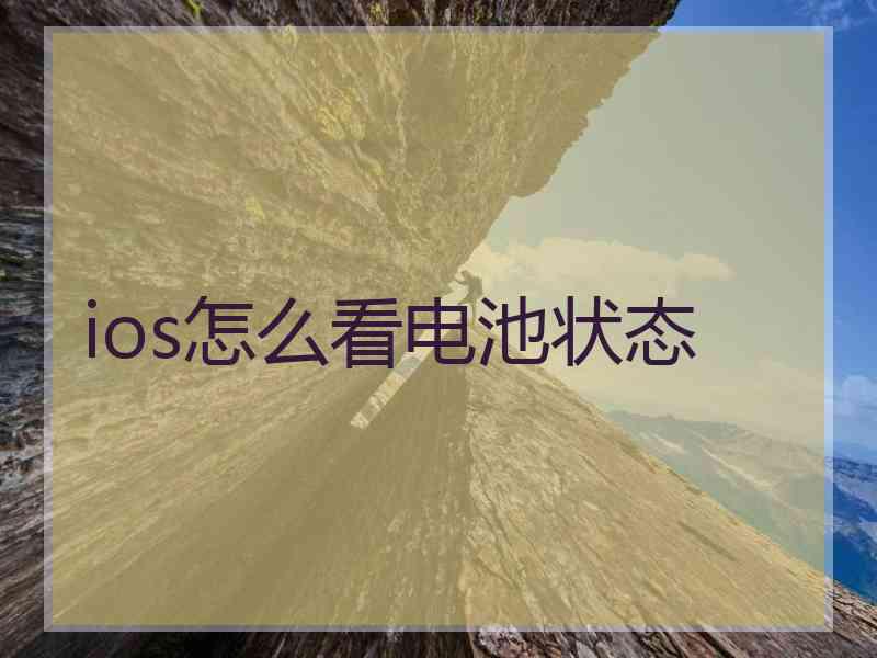 ios怎么看电池状态