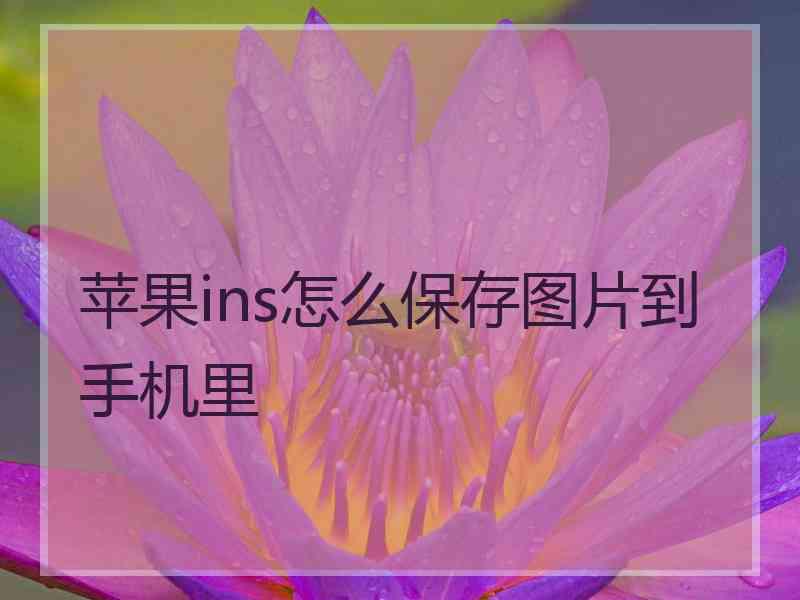 苹果ins怎么保存图片到手机里