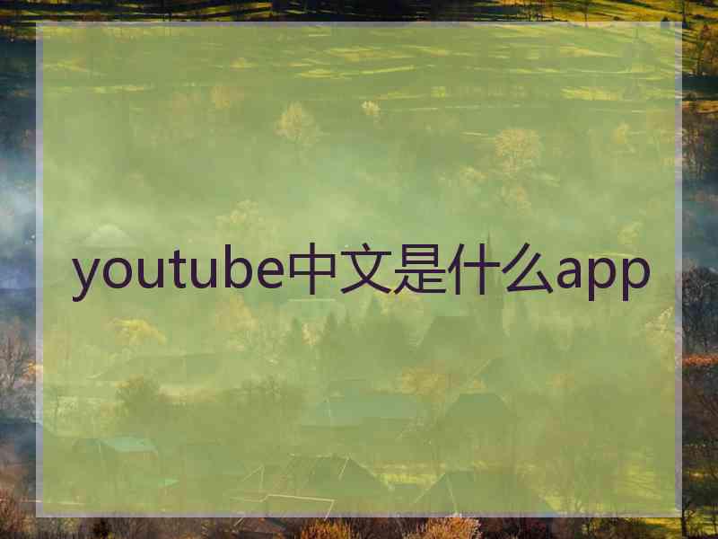 youtube中文是什么app