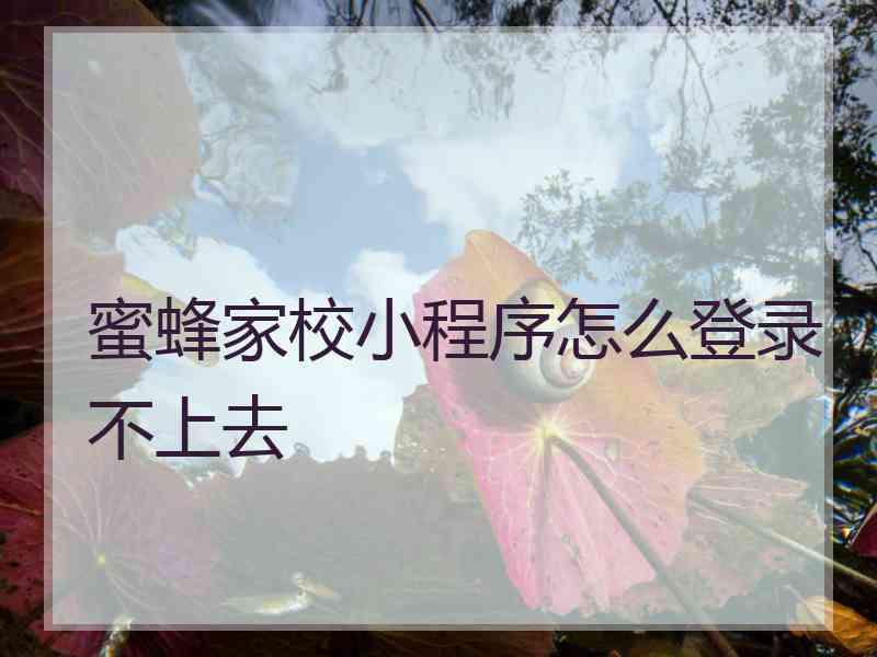 蜜蜂家校小程序怎么登录不上去