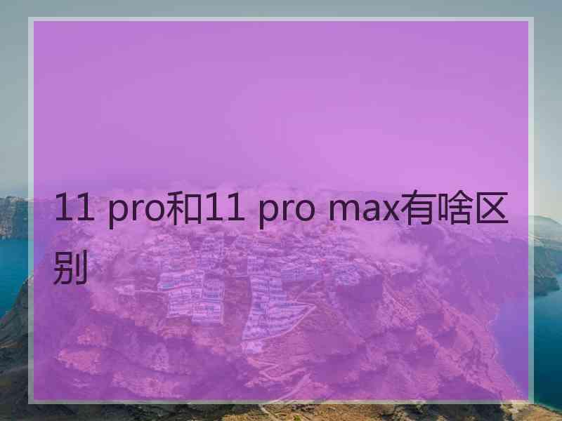 11 pro和11 pro max有啥区别