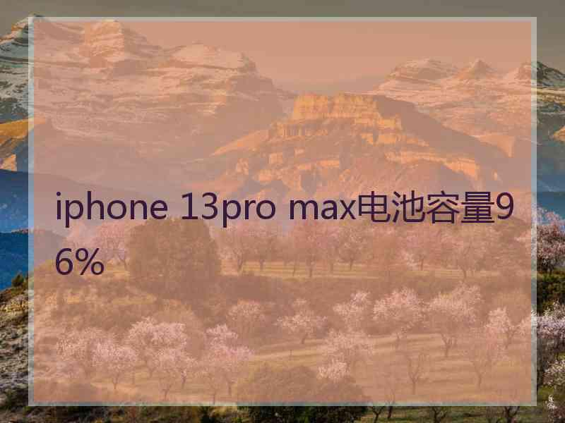 iphone 13pro max电池容量96%