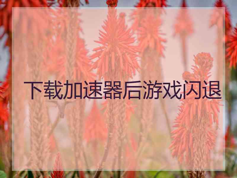 下载加速器后游戏闪退