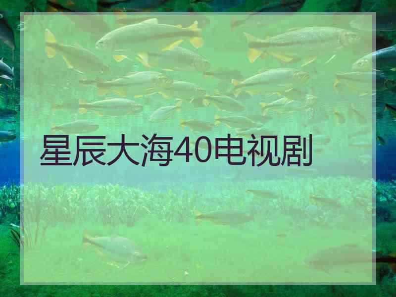 星辰大海40电视剧