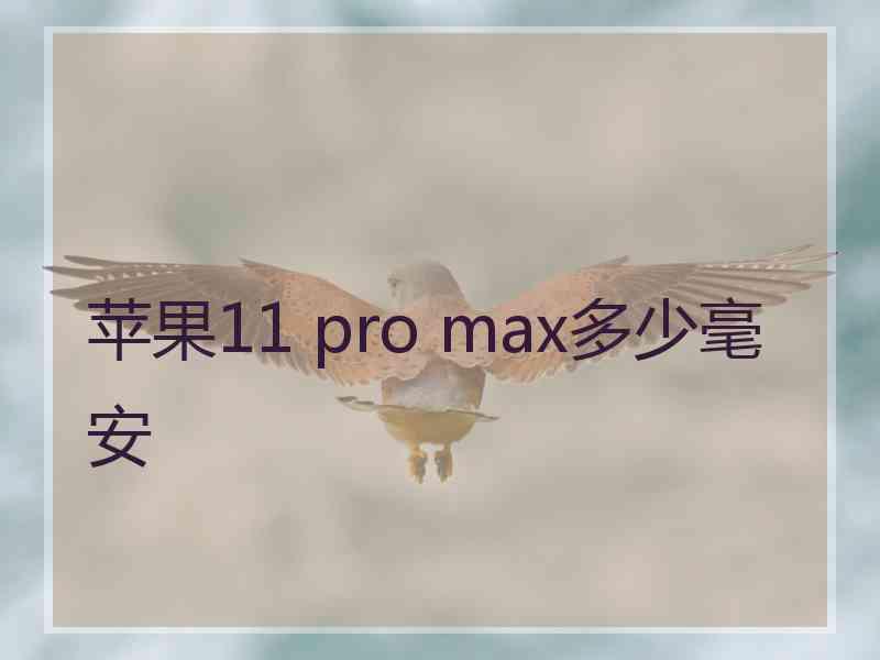 苹果11 pro max多少毫安