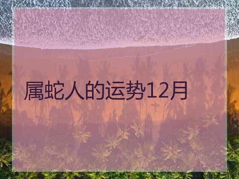 属蛇人的运势12月