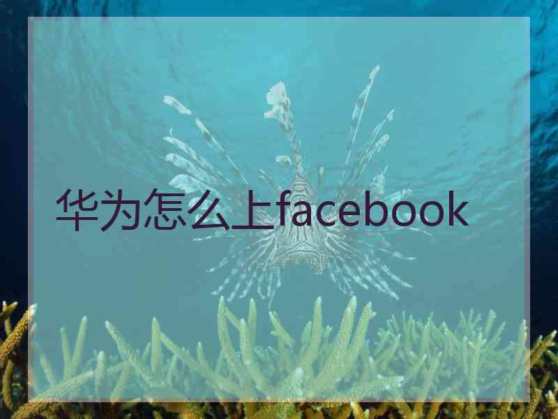 华为怎么上facebook