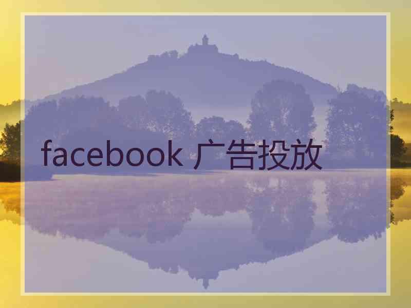 facebook 广告投放