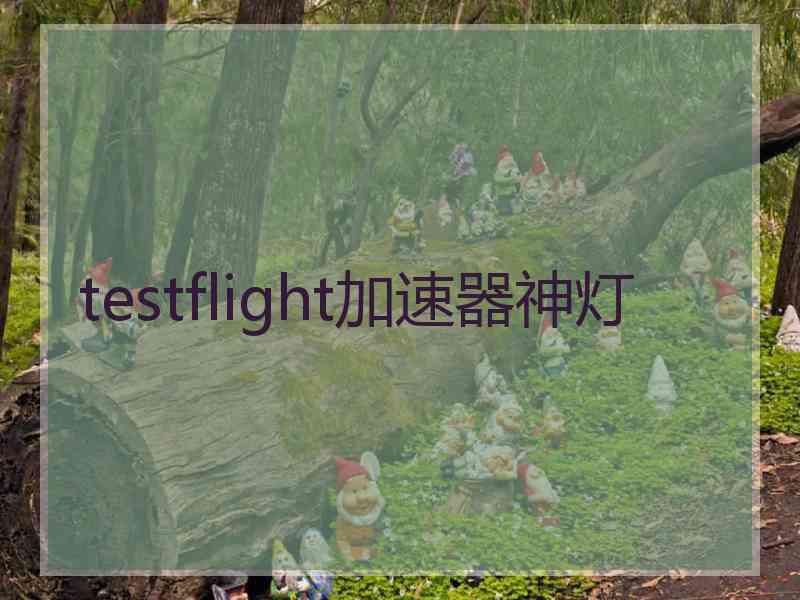 testflight加速器神灯