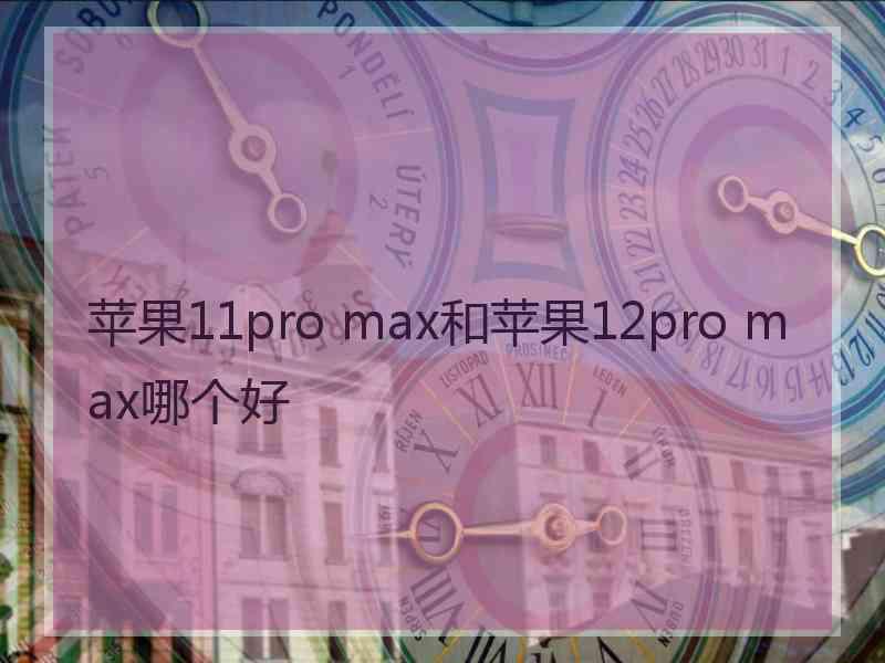 苹果11pro max和苹果12pro max哪个好