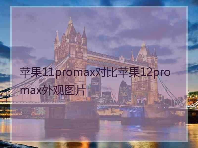 苹果11promax对比苹果12promax外观图片