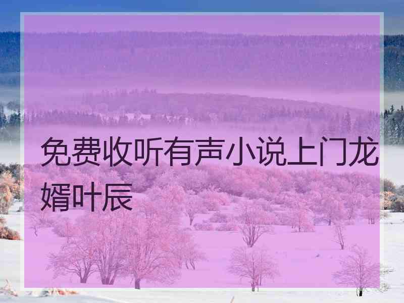 免费收听有声小说上门龙婿叶辰