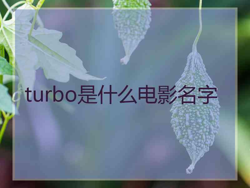 turbo是什么电影名字