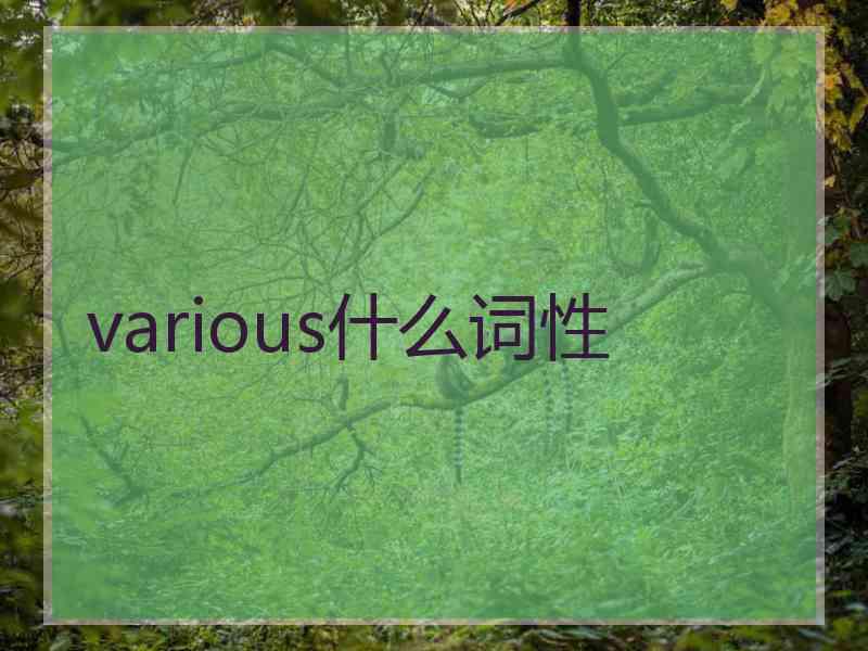 various什么词性