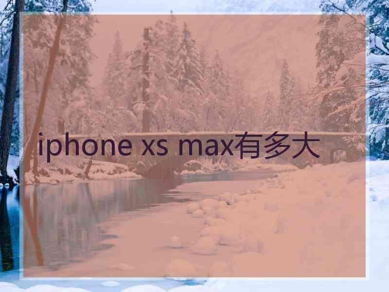 iphone xs max有多大