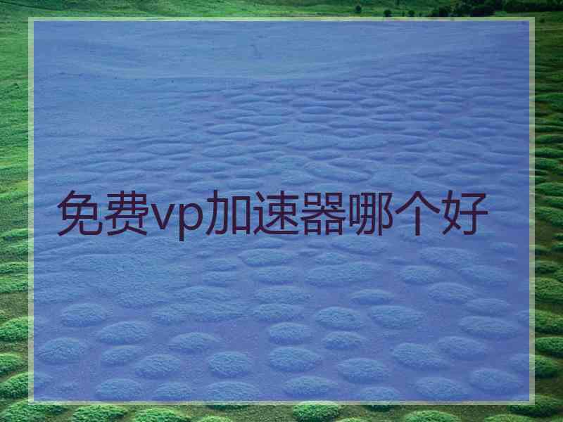 免费vp加速器哪个好