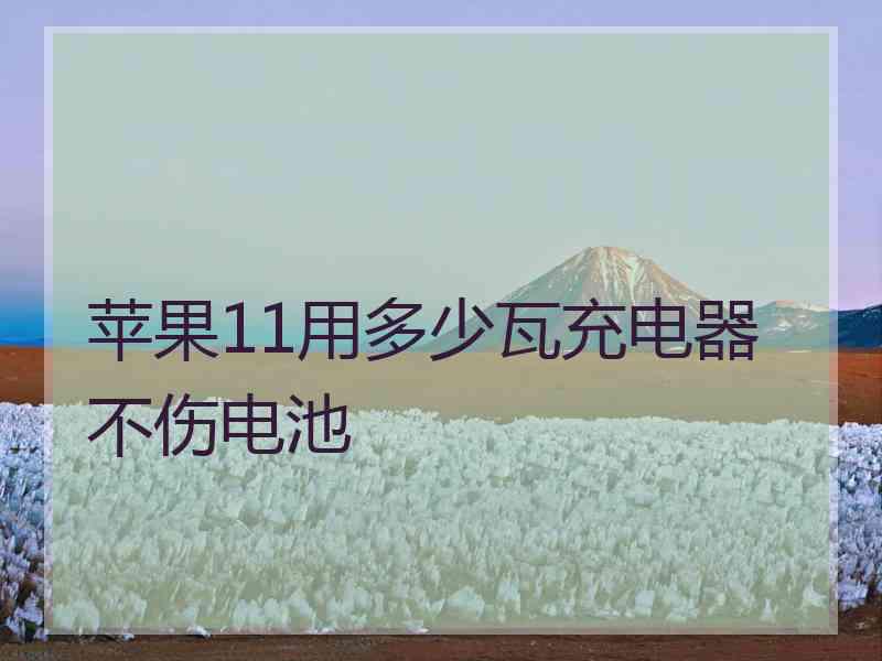 苹果11用多少瓦充电器不伤电池