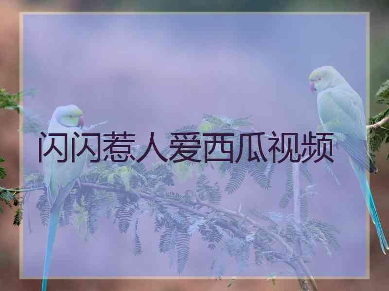 闪闪惹人爱西瓜视频