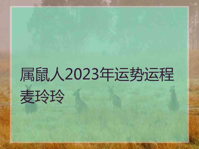 属鼠人2023年运势运程麦玲玲