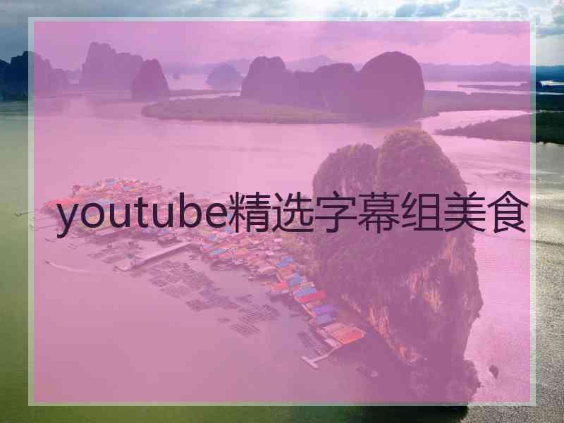 youtube精选字幕组美食