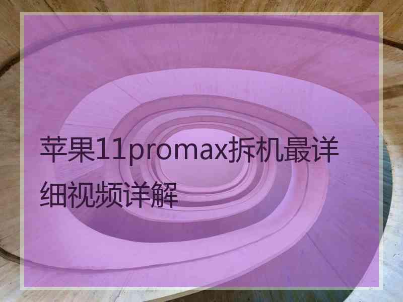 苹果11promax拆机最详细视频详解