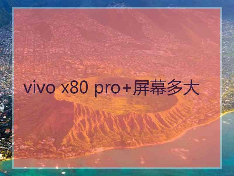 vivo x80 pro+屏幕多大