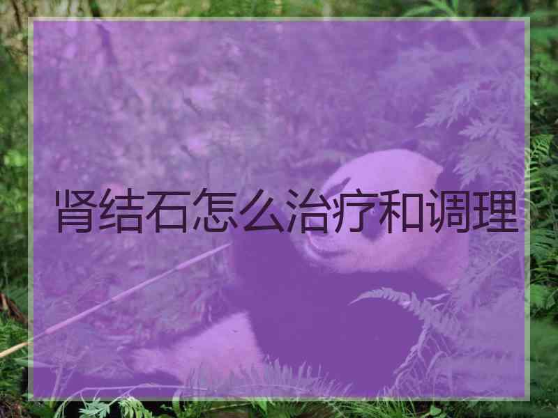 肾结石怎么治疗和调理