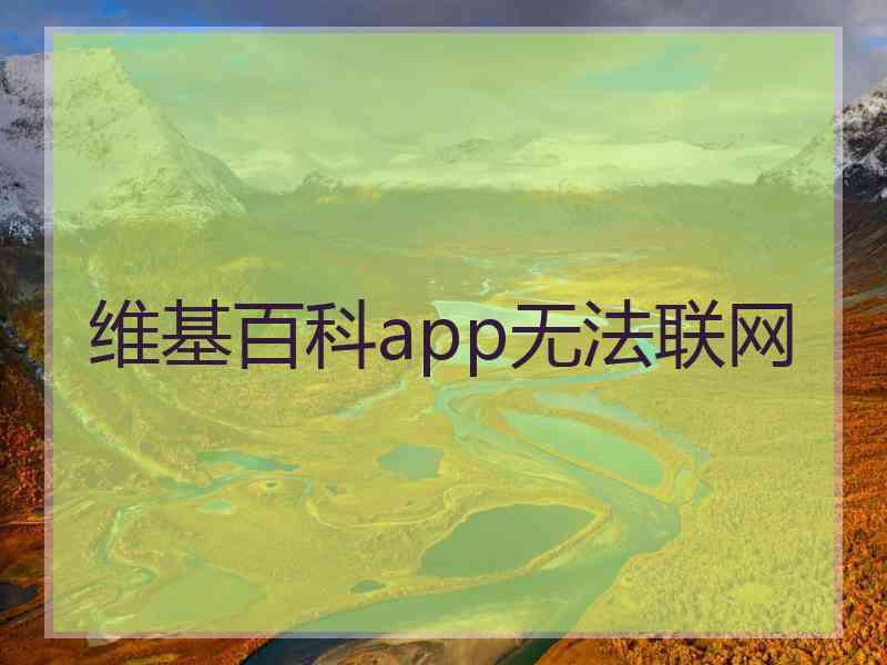 维基百科app无法联网