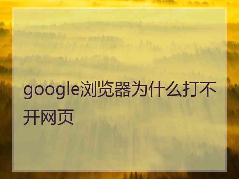 google浏览器为什么打不开网页