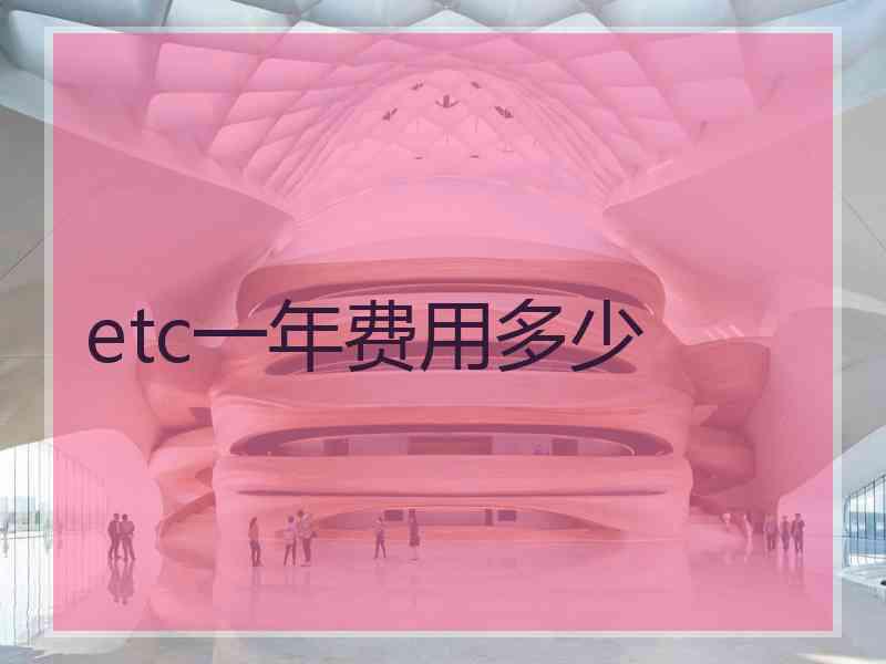 etc一年费用多少