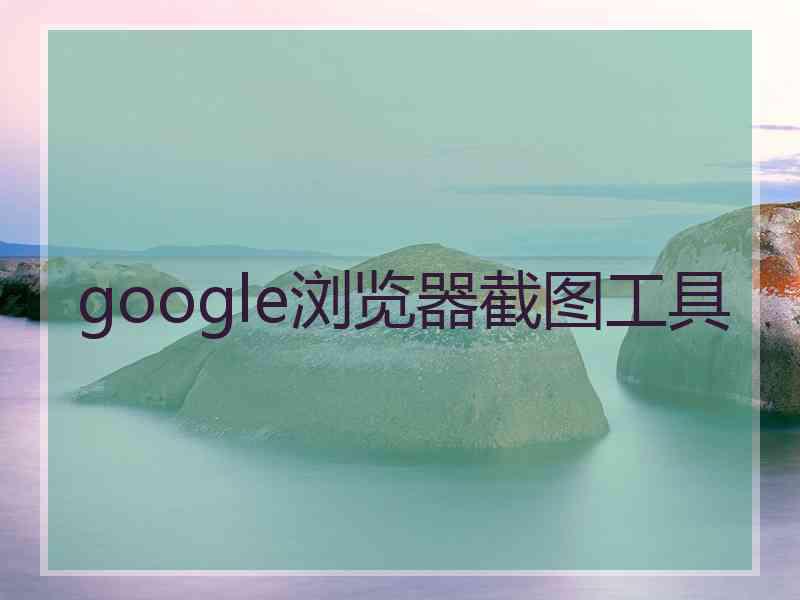 google浏览器截图工具